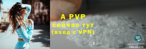 молекула духа Костерёво
