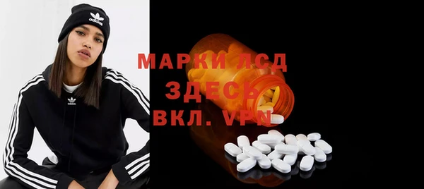 молекула духа Костерёво
