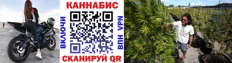 Купить  Елабуга  Канабис SATIVA & INDICA 